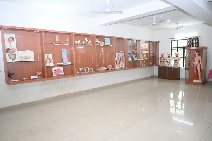OBG Lab